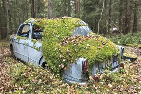 Wreck Mode Of Transportation Land Vehicle Ruined Plant