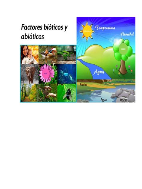 Factores Abioticos Y Bioticos Pdf