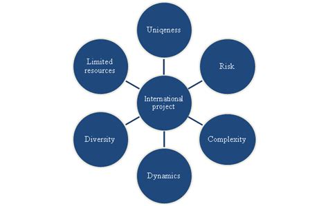 International Project Management