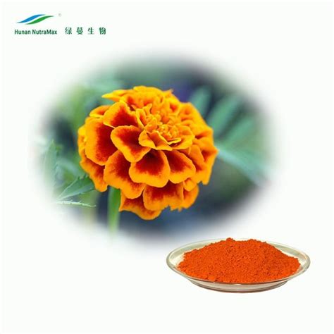 Marigold Flower Extract Lutein Andzeaxanthin