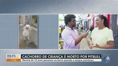 Bahia Meio Dia Salvador Cachorro De Crian A Morre Ap S Ser Atacado