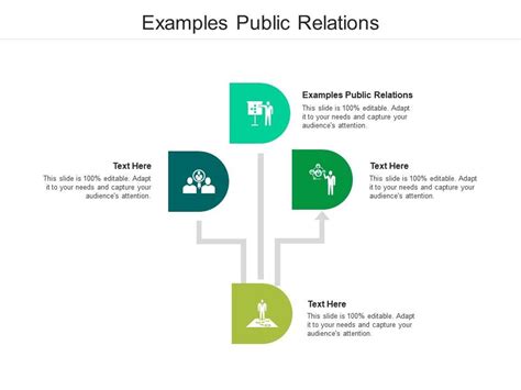 Examples Public Relations Ppt Powerpoint Presentation Infographics