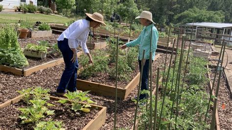 Gardening As Cancer Intervention Apt Highlights Innovative Harvest For