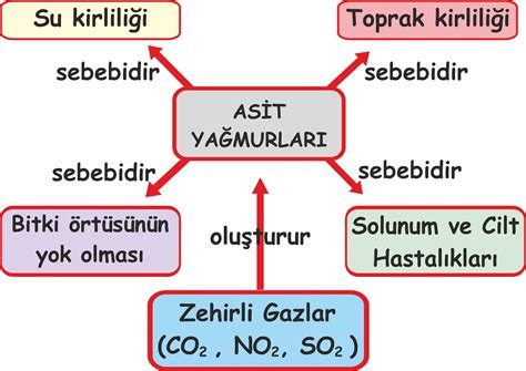 8 SINIF FEN BİLİMLERİ POSTERLERİ FENUS BİLİM