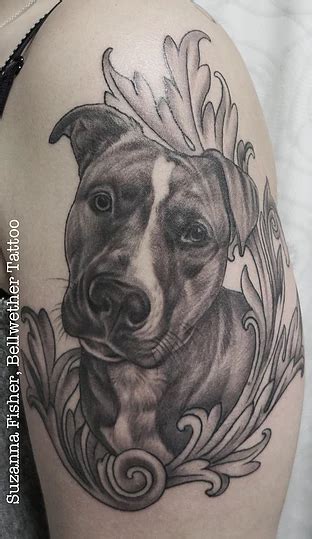 205 Pitbull Tattoos Ideas And Designs 2024 TattoosBoyGirl