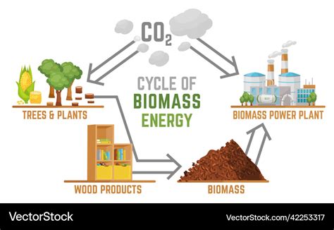 Biomass Energy Landscape Poster With Useful Vector Image