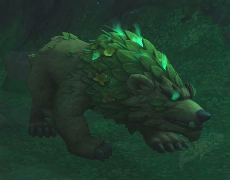 Esp Ritu De Oso Honrado Pnj World Of Warcraft