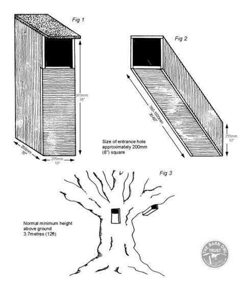 Tawny Owl nestboxes - The Barn Owl Trust