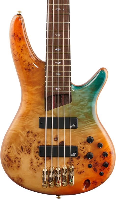 Ibanez Premium Sr1605dw Electric Bass 5 String Zzounds