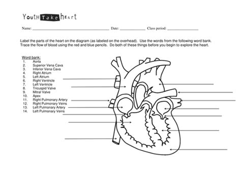 The Heart And Circulatory System Cloze Procedure By Carlfarrant88