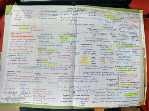 Organic Chemistry Mind Map For Neet Buy Wiley S Solomons Fryhle