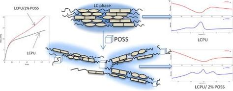 Poss Journal Of Molecular Liquids X Mol