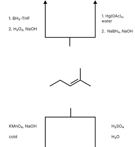 Solved A Common Alkene Starting Material Is Shown Below Chegg