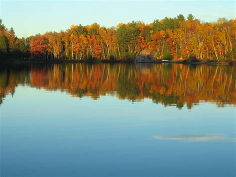 Free Images Tree Water Morning Leaf Fall Lake Dawn Pond