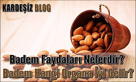 Badem Faydaları Nelerdir Badem Hangi Organa İyi Gelir