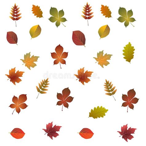 Colorful Autumn Leaves Set Isolated On White Background Vector