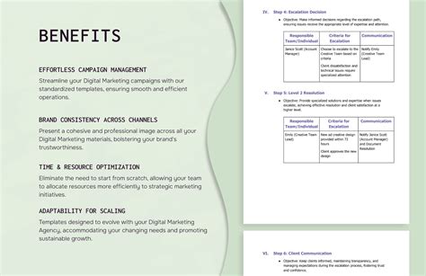 Digital Marketing Agency Escalation Process Flowchart Template in Word ...