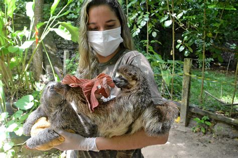 Animais recém nascidos recebem cuidados especiais no Parque Arruda