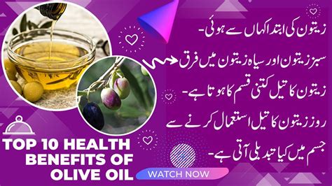 Health Benefits Of Olive Oil Uses Of Olive Oil Types Of Olive Oil