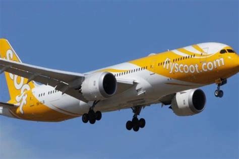 Scoot Juga Buka Rute Penerbangan Ke Pekanbaru