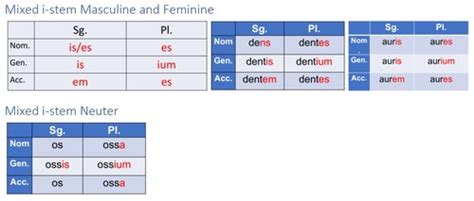 Third Declension Mixed I Stem Flashcards Quizlet