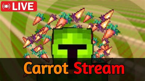 Carrot Farming Stream Hypixel Skyblock Youtube