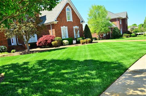 How Much Does Lawn Care Cost Per Month