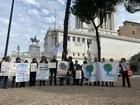 Giornata Nazionale Degli Alberi Flash Mob Piante Messe A Dimora E