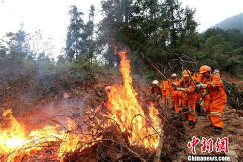 广东进入森林防火特别期 失职者将追责 森林 广东 森林火灾 新浪新闻