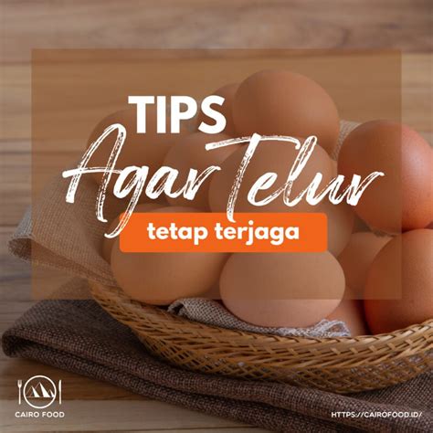 Cara Menyimpan Telur Yang Benar Agar Lebih Awet Cairo Food