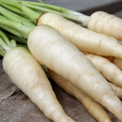 Carrot Lunar White Finest Vegetable Seeds Etsy Uk