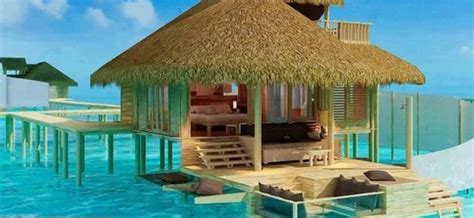 Maldives Diving Packages at best price in Bengaluru | ID: 11357906762