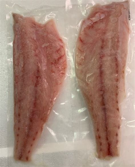 Redfish Fillet Fabulous Fish