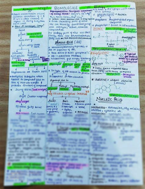 Solution Biomolecules Short Notes Studypool