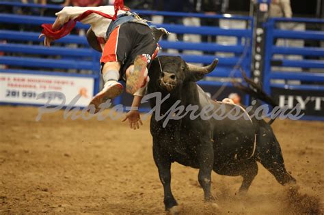 Bull Fighting taken from center of arena in "bullstand" - photo-xpressions