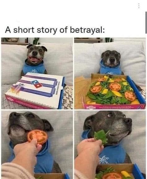 A short story of betrayal: - Funny