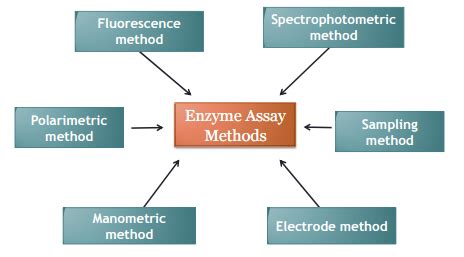 Enzyme Activity Assay Service | Medicilon Inc