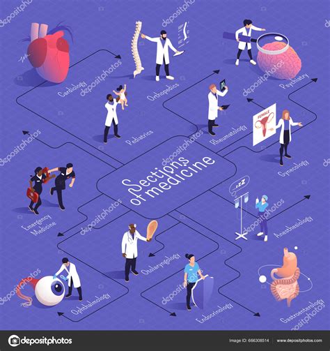 Sections Medicine Isometric Flowchart Cardiology Pediatrics Emergency