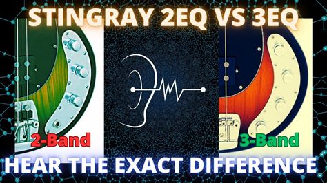 StingRay Bass 2 Band 2EQ Vs 3 Band 3EQ Preamps Explained Hear The