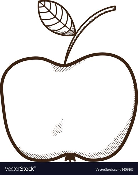 Sketch apple fruit isolated on white Royalty Free Vector