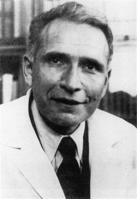 28 Facts About Erwin Chargaff: Chemist, DNA's Unsung Hero - Biography Icon