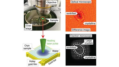 Simplified Approach To Time Resolved Cryo Electron Microscopy Epfl