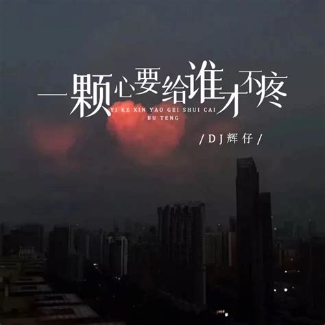 ‎《一颗心要给谁才不疼 Dj阿奇版 Single》 Dj辉仔的专辑 Apple Music