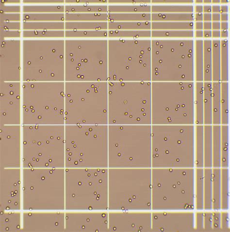 Bodboge 全自动荧光细胞计数仪 细胞分析仪器 仪器设备 生物在线