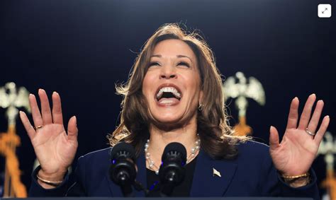 Kamala Harris Opens Her Campaign With A Two Point Lead Over Trump New