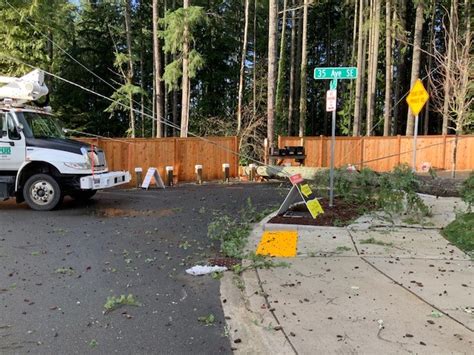 Strong Winds Knock Down Trees Power Lines Overnight Lynnwood Today