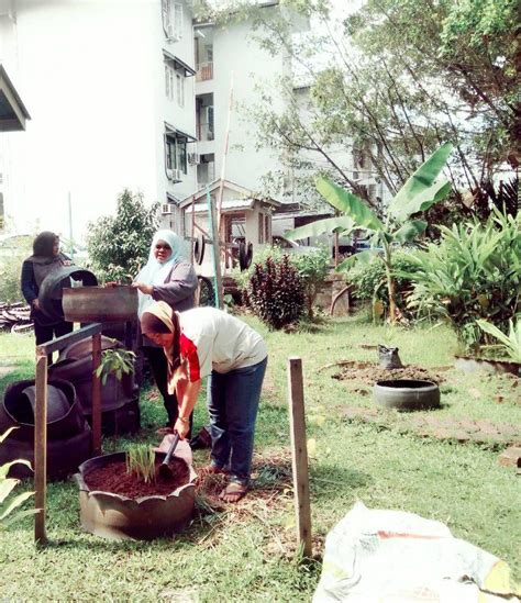 BLOG SERASI SK INANAM LAUT AKTIVITI MENANAM POKOK HERBA