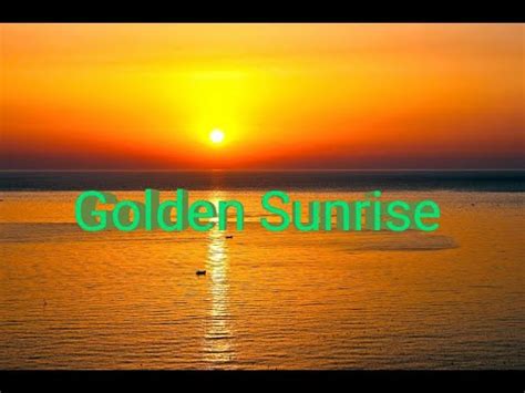 Golden Sunrise Nature Relaxation Video Relaxing Sea Ocean Waves