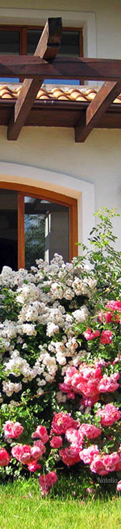 Pink And White Flowers Are Growing In Front Of A House With Wooden Pergols