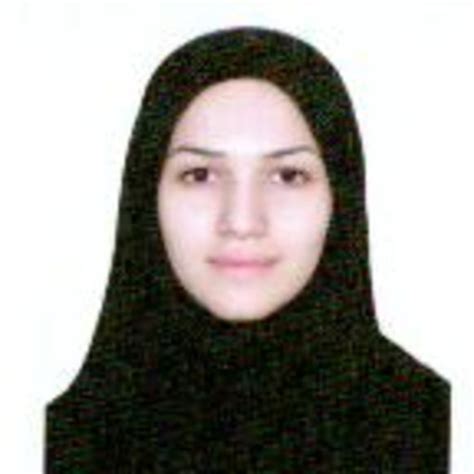 Sara Shamshiri Professor Assistant Assistant Professor Islamic